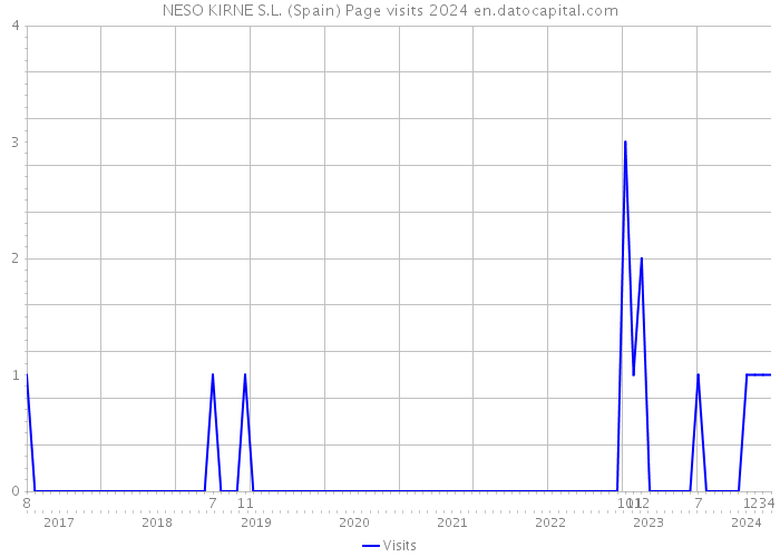 NESO KIRNE S.L. (Spain) Page visits 2024 