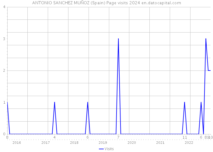 ANTONIO SANCHEZ MUÑOZ (Spain) Page visits 2024 