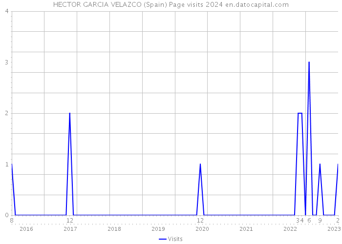 HECTOR GARCIA VELAZCO (Spain) Page visits 2024 
