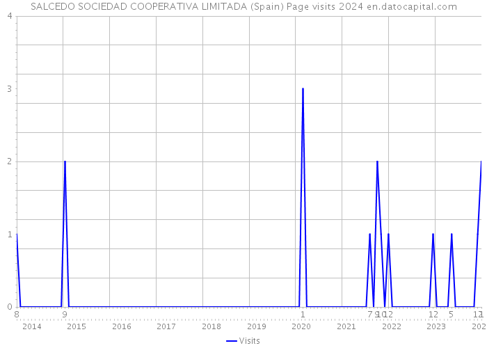 SALCEDO SOCIEDAD COOPERATIVA LIMITADA (Spain) Page visits 2024 