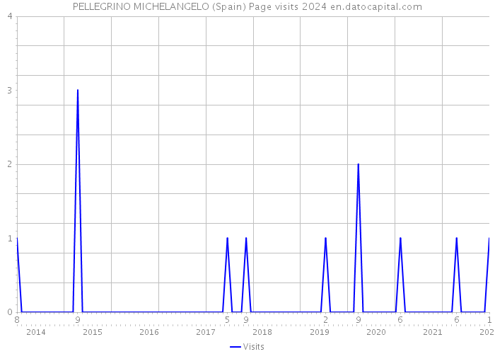 PELLEGRINO MICHELANGELO (Spain) Page visits 2024 