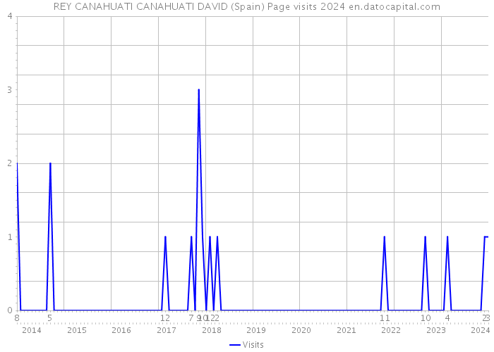 REY CANAHUATI CANAHUATI DAVID (Spain) Page visits 2024 