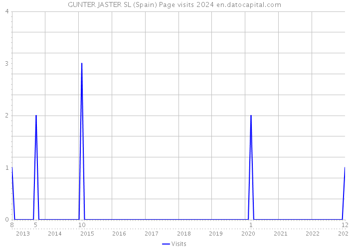 GUNTER JASTER SL (Spain) Page visits 2024 