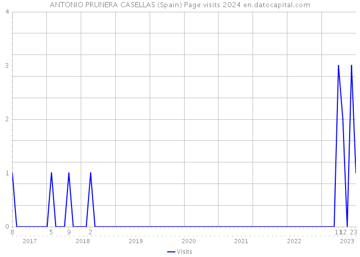 ANTONIO PRUNERA CASELLAS (Spain) Page visits 2024 