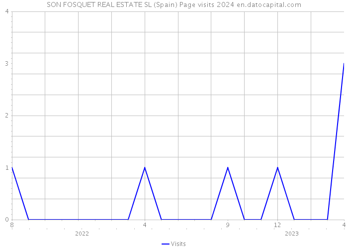 SON FOSQUET REAL ESTATE SL (Spain) Page visits 2024 