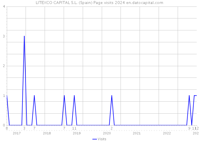 LITEXCO CAPITAL S.L. (Spain) Page visits 2024 