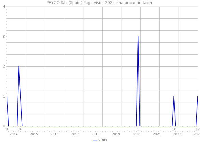 PEYCO S.L. (Spain) Page visits 2024 