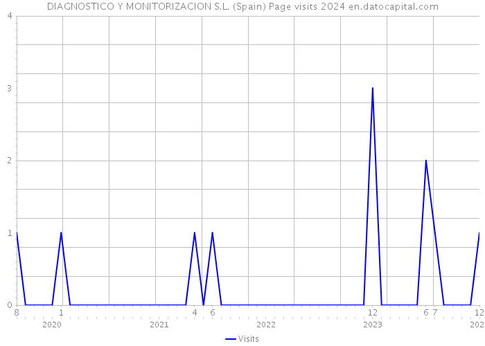 DIAGNOSTICO Y MONITORIZACION S.L. (Spain) Page visits 2024 