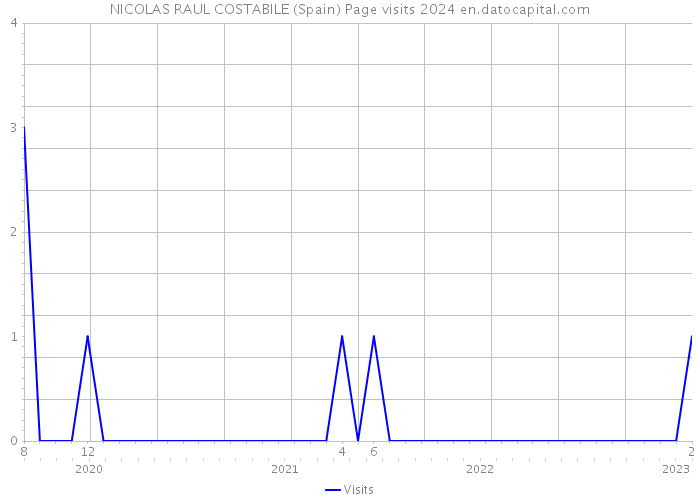 NICOLAS RAUL COSTABILE (Spain) Page visits 2024 