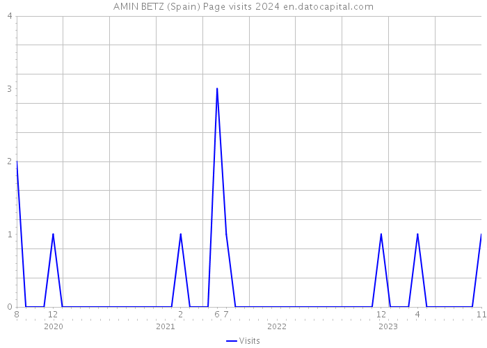 AMIN BETZ (Spain) Page visits 2024 