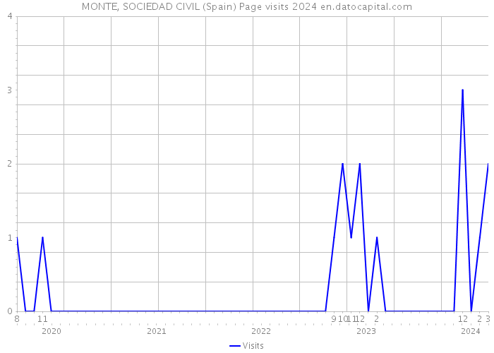MONTE, SOCIEDAD CIVIL (Spain) Page visits 2024 