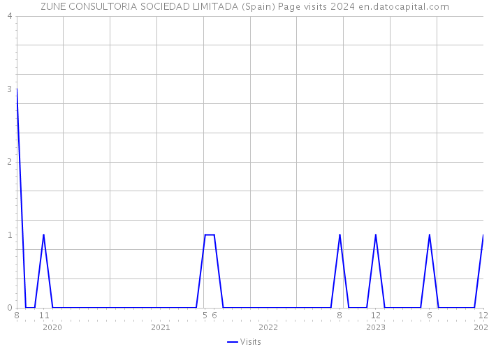 ZUNE CONSULTORIA SOCIEDAD LIMITADA (Spain) Page visits 2024 