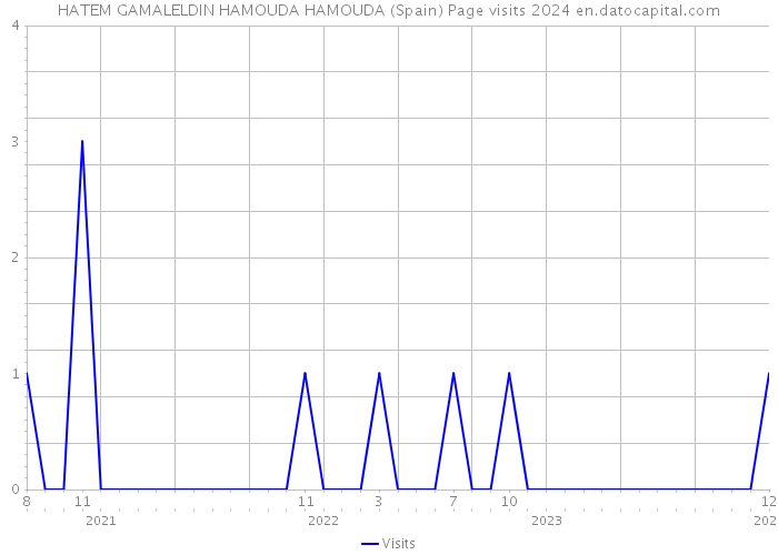 HATEM GAMALELDIN HAMOUDA HAMOUDA (Spain) Page visits 2024 