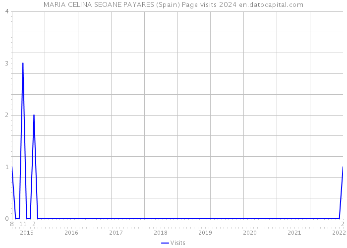 MARIA CELINA SEOANE PAYARES (Spain) Page visits 2024 