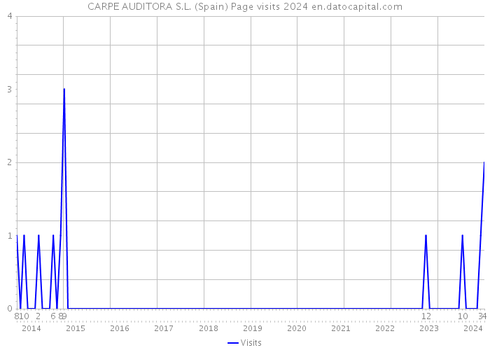 CARPE AUDITORA S.L. (Spain) Page visits 2024 
