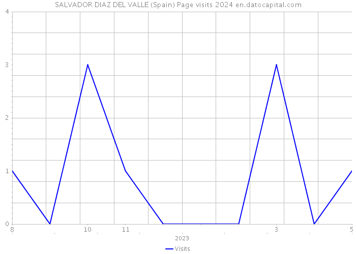 SALVADOR DIAZ DEL VALLE (Spain) Page visits 2024 