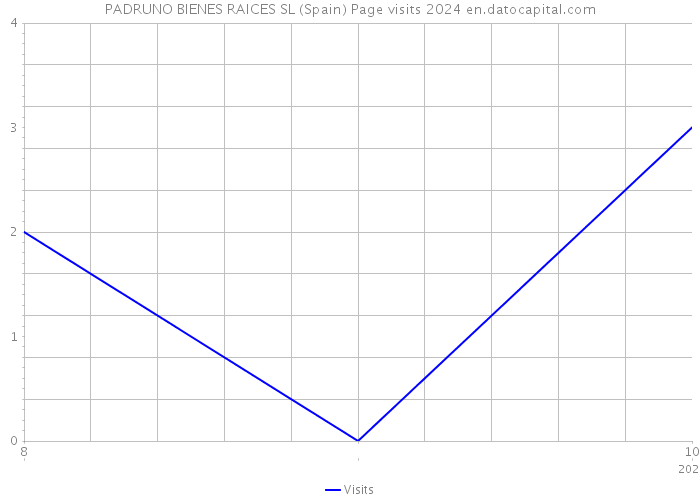 PADRUNO BIENES RAICES SL (Spain) Page visits 2024 