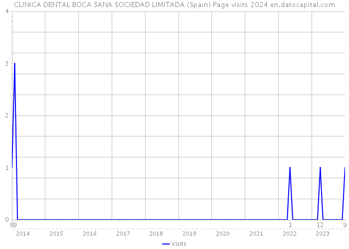 CLINICA DENTAL BOCA SANA SOCIEDAD LIMITADA (Spain) Page visits 2024 