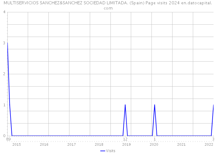 MULTISERVICIOS SANCHEZ&SANCHEZ SOCIEDAD LIMITADA. (Spain) Page visits 2024 