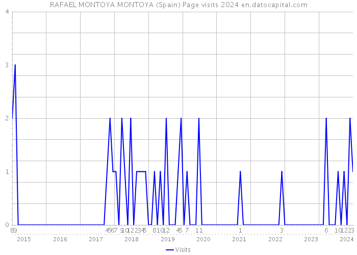 RAFAEL MONTOYA MONTOYA (Spain) Page visits 2024 