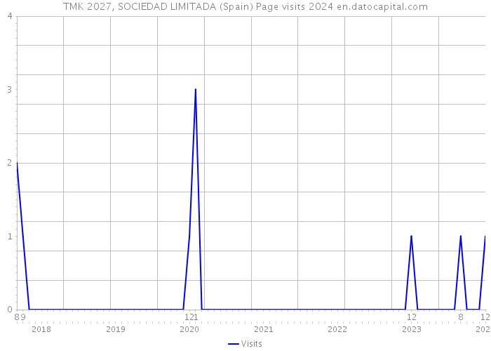 TMK 2027, SOCIEDAD LIMITADA (Spain) Page visits 2024 
