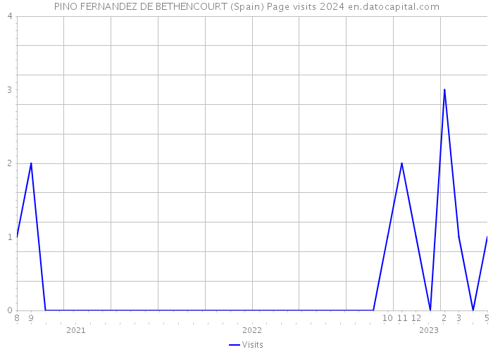 PINO FERNANDEZ DE BETHENCOURT (Spain) Page visits 2024 