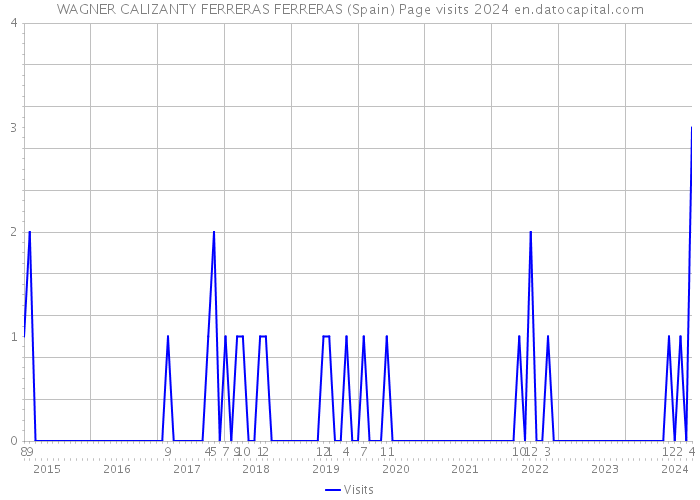 WAGNER CALIZANTY FERRERAS FERRERAS (Spain) Page visits 2024 