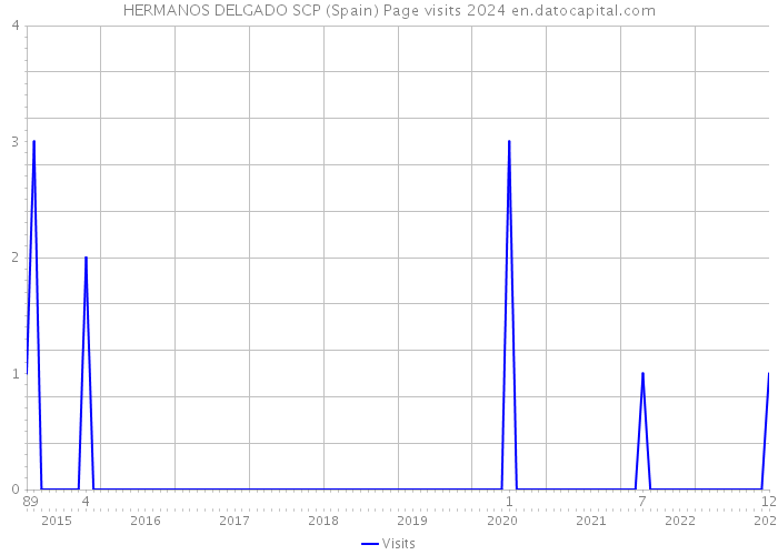 HERMANOS DELGADO SCP (Spain) Page visits 2024 