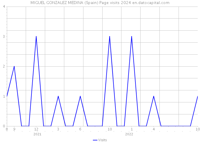 MIGUEL GONZALEZ MEDINA (Spain) Page visits 2024 