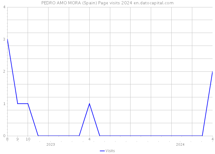 PEDRO AMO MORA (Spain) Page visits 2024 