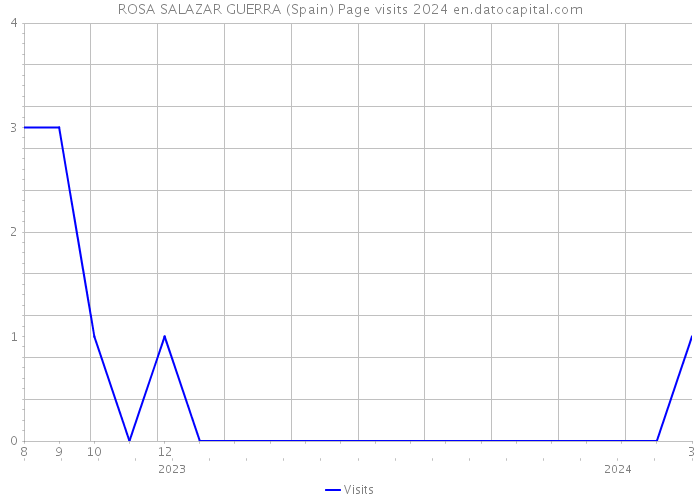 ROSA SALAZAR GUERRA (Spain) Page visits 2024 