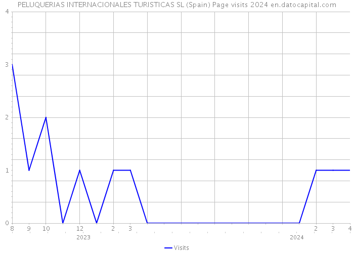 PELUQUERIAS INTERNACIONALES TURISTICAS SL (Spain) Page visits 2024 