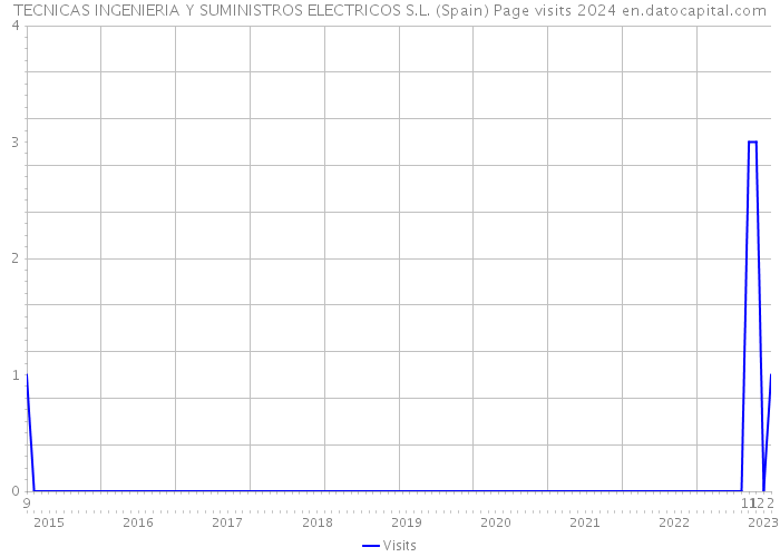 TECNICAS INGENIERIA Y SUMINISTROS ELECTRICOS S.L. (Spain) Page visits 2024 