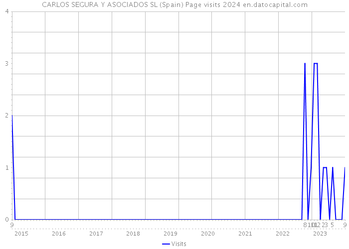 CARLOS SEGURA Y ASOCIADOS SL (Spain) Page visits 2024 