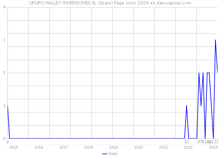 GRUPO HALLEY INVERSIONES SL (Spain) Page visits 2024 