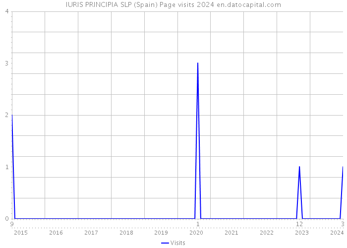 IURIS PRINCIPIA SLP (Spain) Page visits 2024 