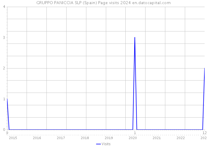 GRUPPO PANICCIA SLP (Spain) Page visits 2024 