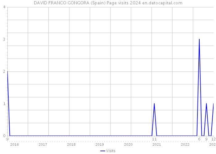DAVID FRANCO GONGORA (Spain) Page visits 2024 