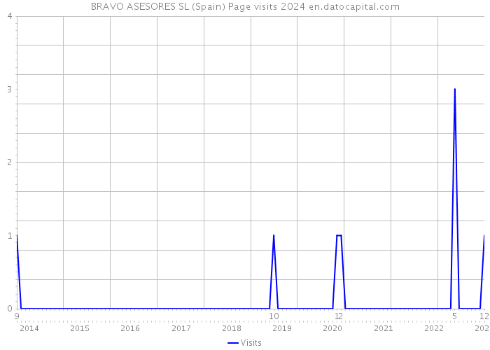BRAVO ASESORES SL (Spain) Page visits 2024 