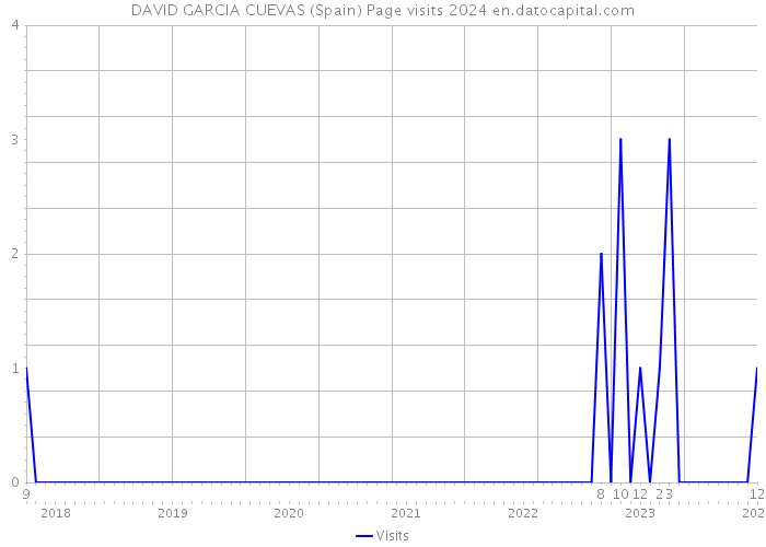 DAVID GARCIA CUEVAS (Spain) Page visits 2024 