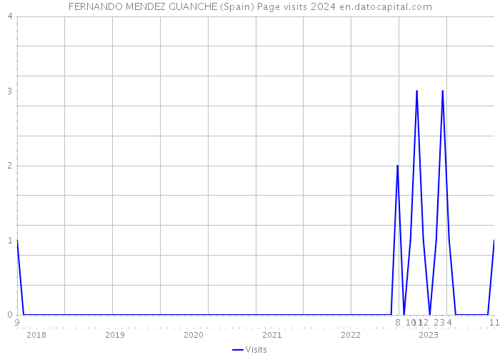 FERNANDO MENDEZ GUANCHE (Spain) Page visits 2024 