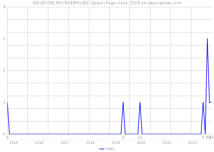 DAVID DEL RIO RODRIGUEZ (Spain) Page visits 2024 