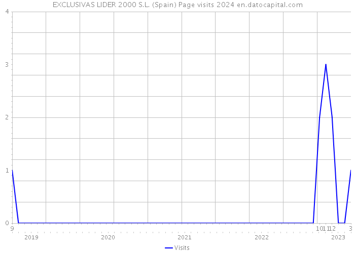 EXCLUSIVAS LIDER 2000 S.L. (Spain) Page visits 2024 