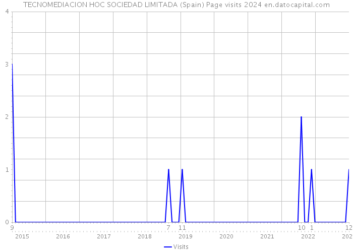 TECNOMEDIACION HOC SOCIEDAD LIMITADA (Spain) Page visits 2024 