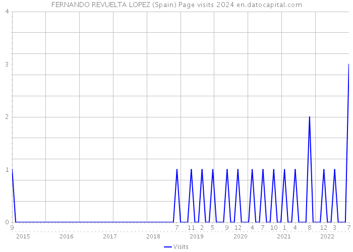 FERNANDO REVUELTA LOPEZ (Spain) Page visits 2024 