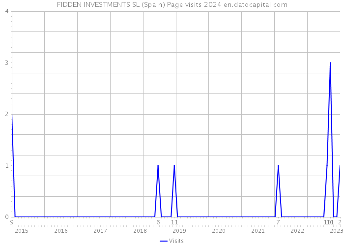 FIDDEN INVESTMENTS SL (Spain) Page visits 2024 
