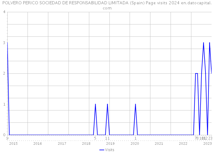 POLVERO PERICO SOCIEDAD DE RESPONSABILIDAD LIMITADA (Spain) Page visits 2024 