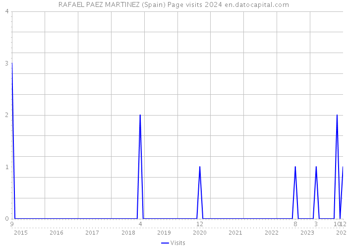 RAFAEL PAEZ MARTINEZ (Spain) Page visits 2024 