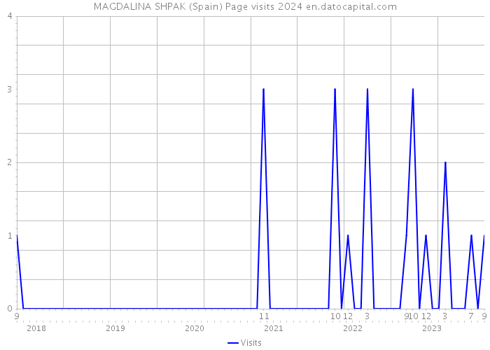 MAGDALINA SHPAK (Spain) Page visits 2024 