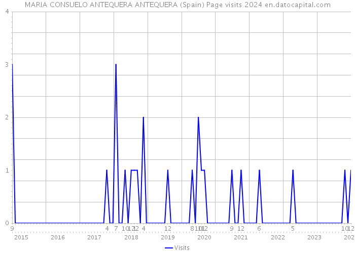 MARIA CONSUELO ANTEQUERA ANTEQUERA (Spain) Page visits 2024 